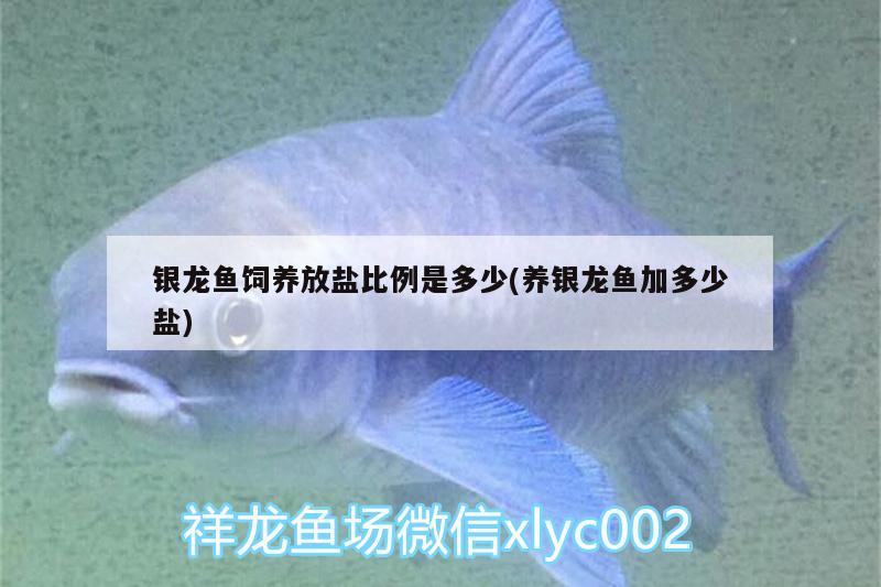 銀龍魚飼養(yǎng)放鹽比例是多少(養(yǎng)銀龍魚加多少鹽) 銀龍魚