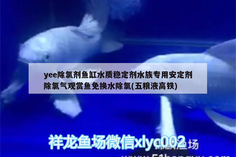 yee除氯劑魚(yú)缸水質(zhì)穩(wěn)定劑水族專用安定劑除氯氣觀賞魚(yú)免換水除氯(五糧液高鐵) yee