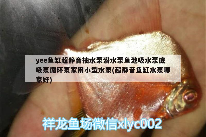 yee魚缸超靜音抽水泵潛水泵魚池吸水泵底吸泵循環(huán)泵家用小型水泵(超靜音魚缸水泵哪家好)