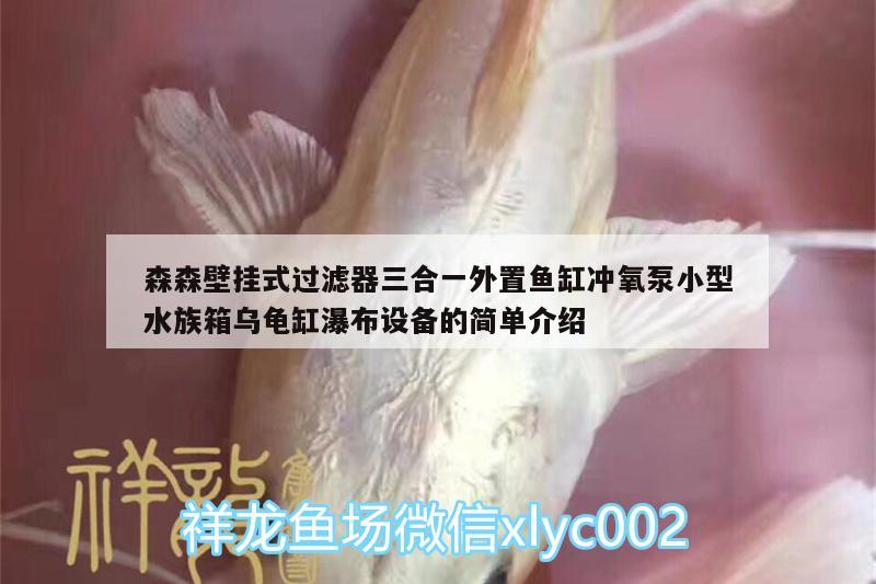 森森壁掛式過濾器三合一外置魚缸沖氧泵小型水族箱烏龜缸瀑布設備的簡單介紹