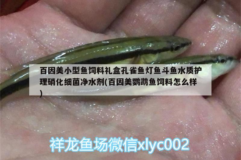 百因美小型魚飼料禮盒孔雀魚燈魚斗魚水質(zhì)護理硝化細菌凈水劑(百因美鸚鵡魚飼料怎么樣) 鸚鵡魚