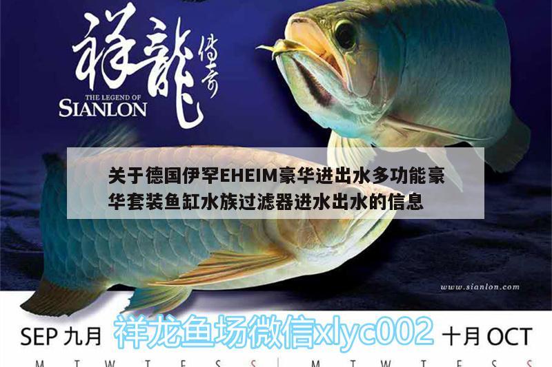 關(guān)于德國伊罕EHEIM豪華進出水多功能豪華套裝魚缸水族過濾器進水出水的信息