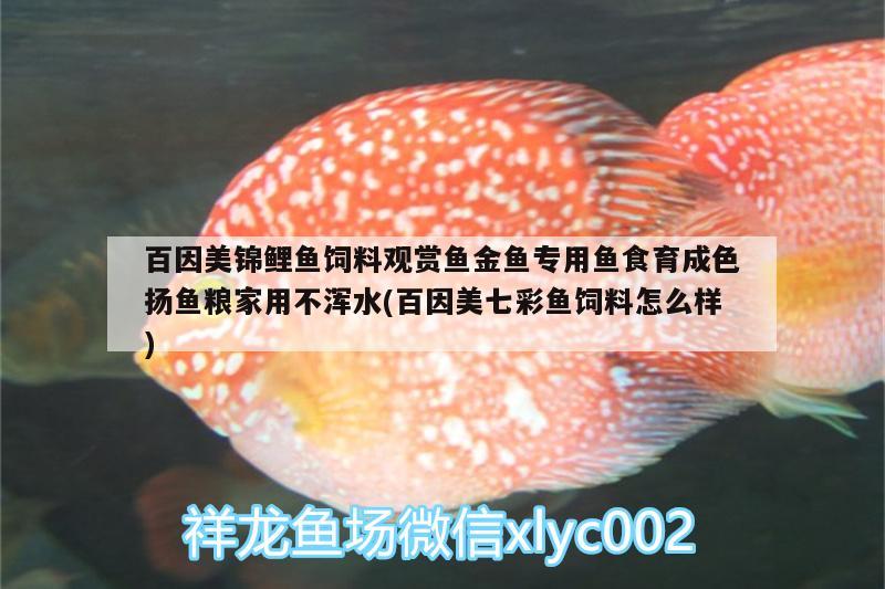 百因美錦鯉魚飼料觀賞魚金魚專用魚食育成色揚魚糧家用不渾水(百因美七彩魚飼料怎么樣) 廣州水族器材濾材批發(fā)市場