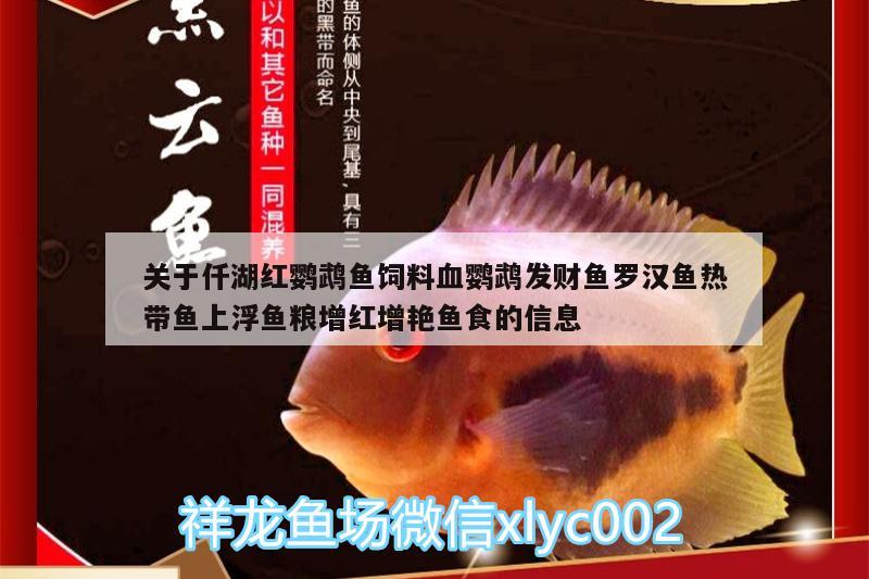 關于仟湖紅鸚鵡魚飼料血鸚鵡發(fā)財魚羅漢魚熱帶魚上浮魚糧增紅增艷魚食的信息