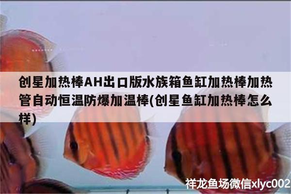 創(chuàng)星加熱棒AH出口版水族箱魚缸加熱棒加熱管自動恒溫防爆加溫棒(創(chuàng)星魚缸加熱棒怎么樣)