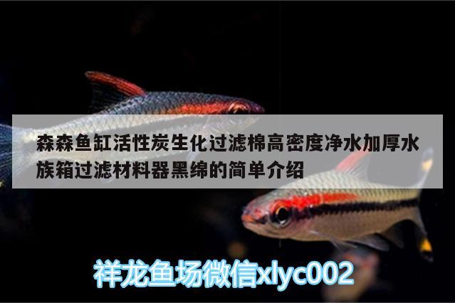 森森魚缸活性炭生化過濾棉高密度凈水加厚水族箱過濾材料器黑綿的簡單介紹 魚缸/水族箱