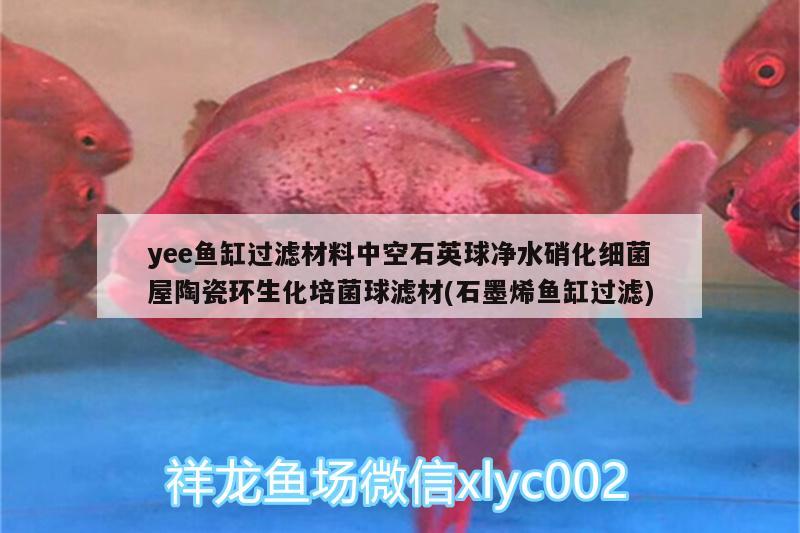 yee魚(yú)缸過(guò)濾材料中空石英球凈水硝化細(xì)菌屋陶瓷環(huán)生化培菌球?yàn)V材(石墨烯魚(yú)缸過(guò)濾)