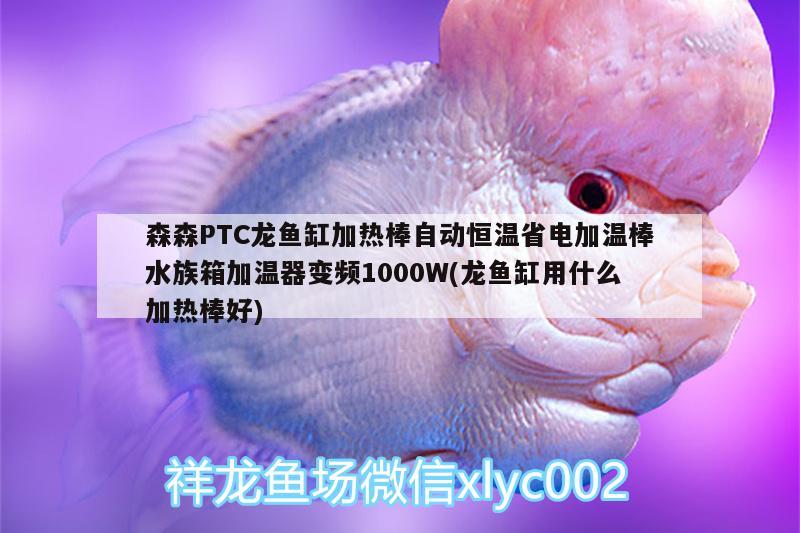 森森PTC龍魚缸加熱棒自動恒溫省電加溫棒水族箱加溫器變頻1000W(龍魚缸用什么加熱棒好) 魚缸/水族箱