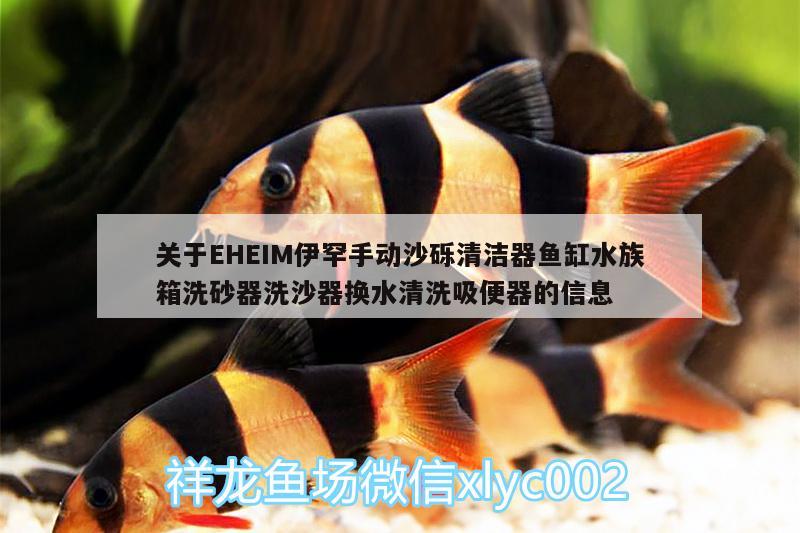 關(guān)于EHEIM伊罕手動沙礫清潔器魚缸水族箱洗砂器洗沙器換水清洗吸便器的信息