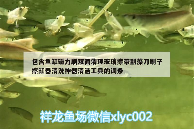 包含魚缸磁力刷雙面清理玻璃擦帶刮藻刀刷子擦缸器清洗神器清潔工具的詞條 廣州水族器材濾材批發(fā)市場