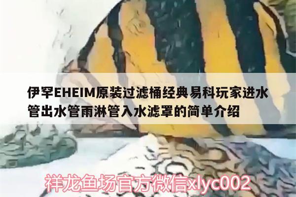 伊罕EHEIM原裝過濾桶經(jīng)典易科玩家進水管出水管雨淋管入水濾罩的簡單介紹 伊罕水族