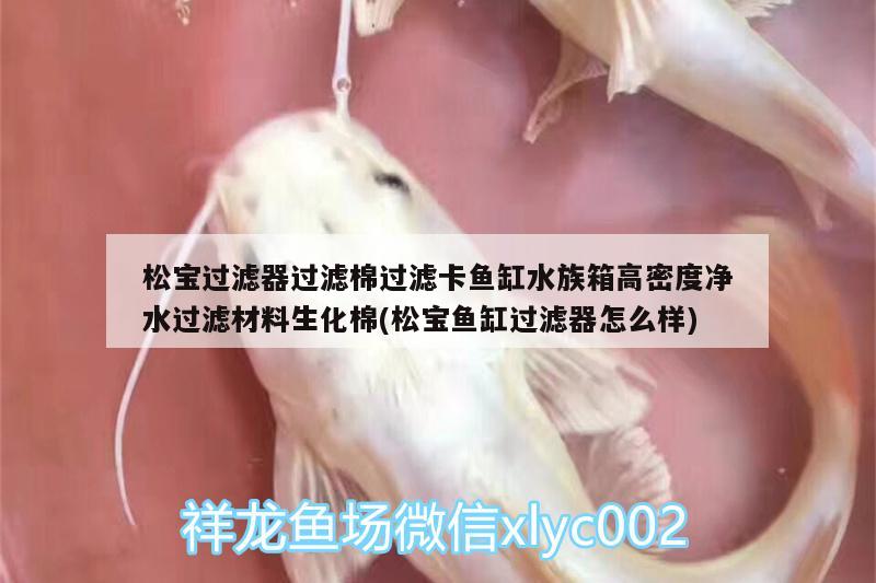 松寶過濾器過濾棉過濾卡魚缸水族箱高密度凈水過濾材料生化棉(松寶魚缸過濾器怎么樣) 魚缸/水族箱