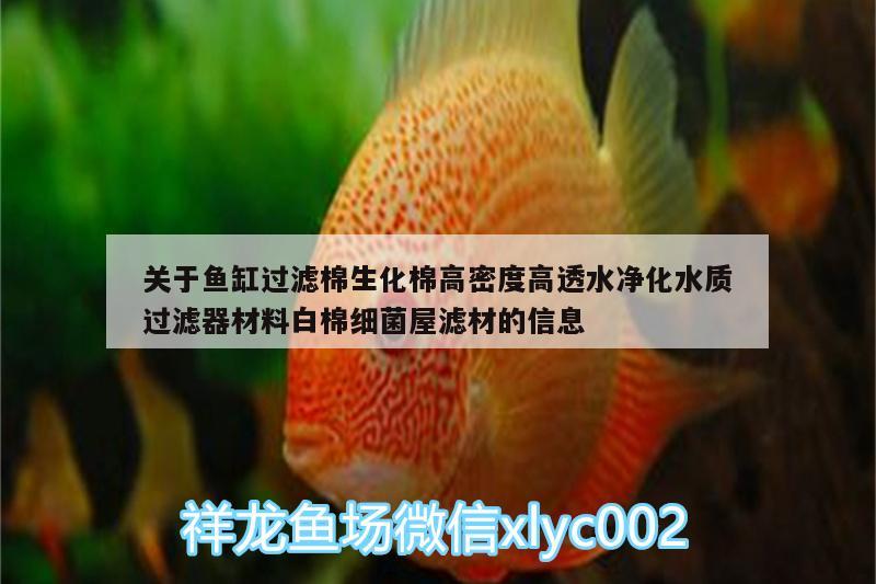 關(guān)于魚(yú)缸過(guò)濾棉生化棉高密度高透水凈化水質(zhì)過(guò)濾器材料白棉細(xì)菌屋濾材的信息