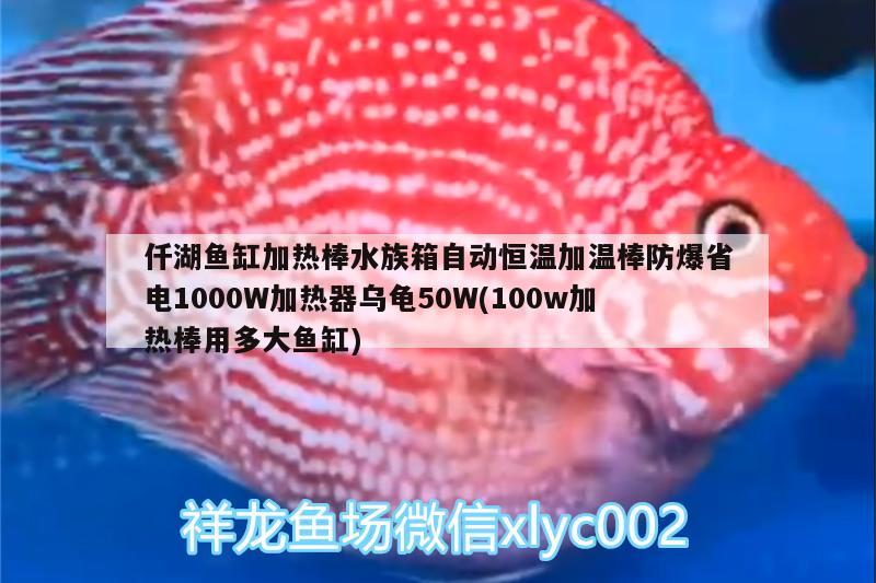 仟湖魚(yú)缸加熱棒水族箱自動(dòng)恒溫加溫棒防爆省電1000W加熱器烏龜50W(100w加熱棒用多大魚(yú)缸) 烏龜