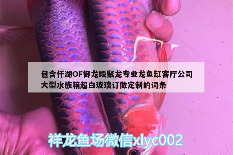 包含仟湖OF御龍殿聚龍專業(yè)龍魚(yú)缸客廳公司大型水族箱超白玻璃訂做定制的詞條