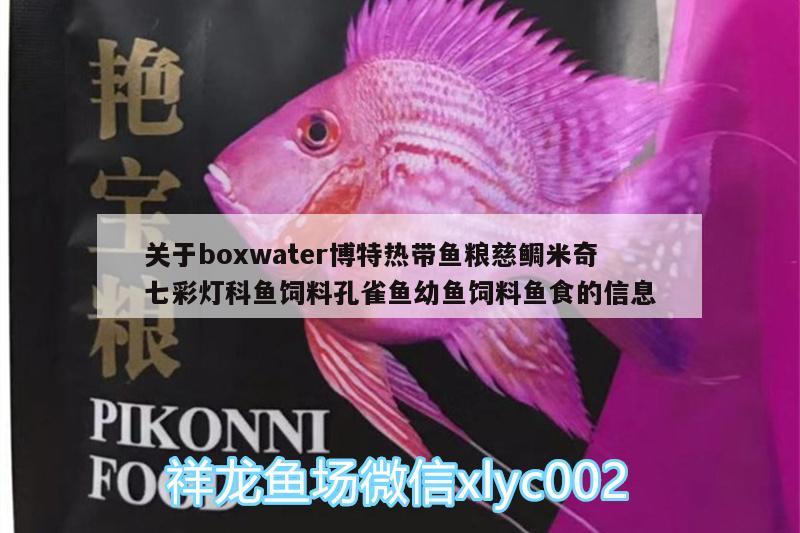 關(guān)于boxwater博特?zé)釒~糧慈鯛米奇七彩燈科魚飼料孔雀魚幼魚飼料魚食的信息 博特水族