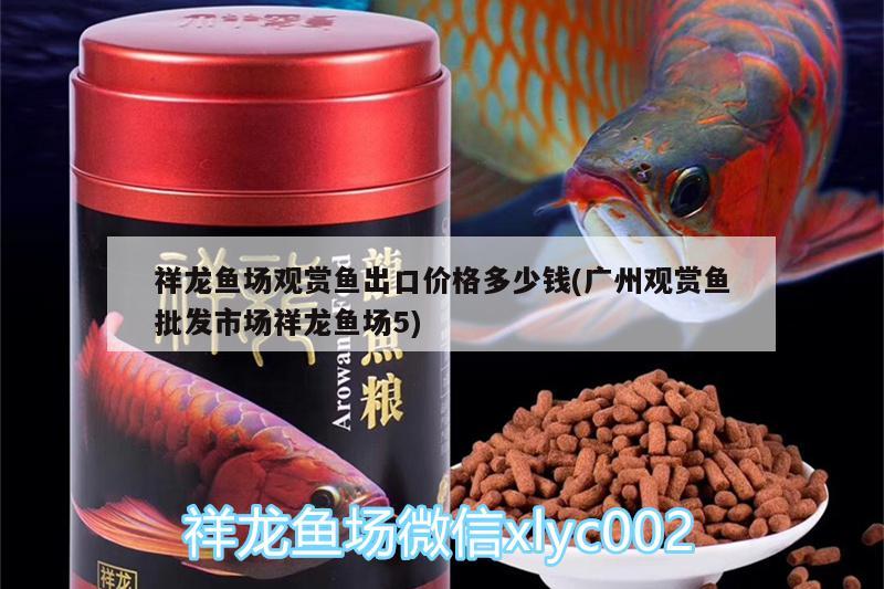 祥龍魚場(chǎng)觀賞魚出口價(jià)格多少錢(廣州觀賞魚批發(fā)市場(chǎng)祥龍魚場(chǎng)5)