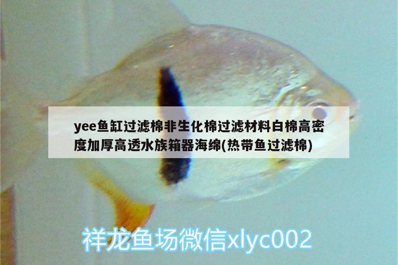 yee魚缸過濾棉非生化棉過濾材料白棉高密度加厚高透水族箱器海綿(熱帶魚過濾棉) yee