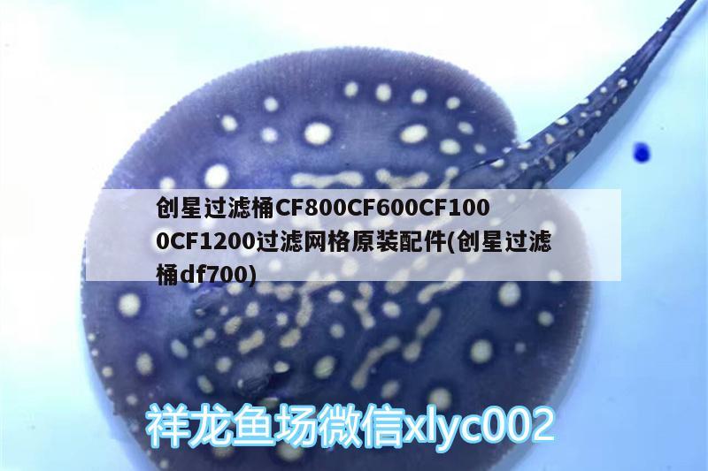 創(chuàng)星過濾桶CF800CF600CF1000CF1200過濾網(wǎng)格原裝配件(創(chuàng)星過濾桶df700) 廣州水族器材濾材批發(fā)市場