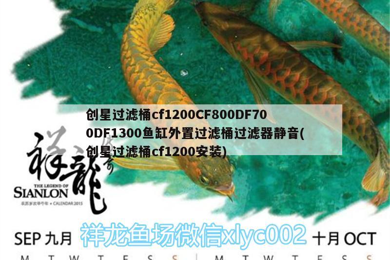 創(chuàng)星過(guò)濾桶cf1200CF800DF700DF1300魚缸外置過(guò)濾桶過(guò)濾器靜音(創(chuàng)星過(guò)濾桶cf1200安裝)