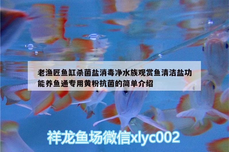 老漁匠魚缸殺菌鹽消毒凈水族觀賞魚清潔鹽功能養(yǎng)魚通專用黃粉抗菌的簡單介紹 廣州水族器材濾材批發(fā)市場 第2張