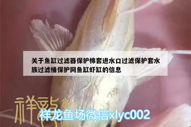 關(guān)于魚缸過濾器保護棉套進水口過濾保護套水族過濾桶保護網(wǎng)魚缸蝦缸的信息 廣州水族器材濾材批發(fā)市場