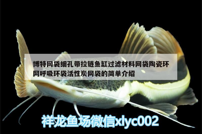 博特網(wǎng)袋細(xì)孔帶拉鏈魚缸過濾材料網(wǎng)袋陶瓷環(huán)網(wǎng)呼吸環(huán)袋活性炭網(wǎng)袋的簡(jiǎn)單介紹 博特水族