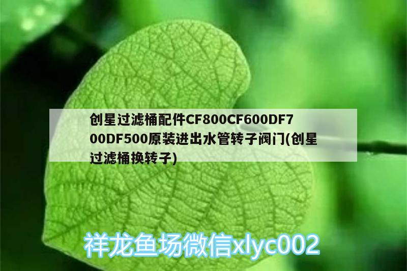 創(chuàng)星過濾桶配件CF800CF600DF700DF500原裝進出水管轉子閥門(創(chuàng)星過濾桶換轉子)