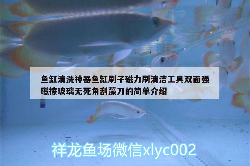 魚缸清洗神器魚缸刷子磁力刷清潔工具雙面強磁擦玻璃無死角刮藻刀的簡單介紹 廣州水族器材濾材批發(fā)市場