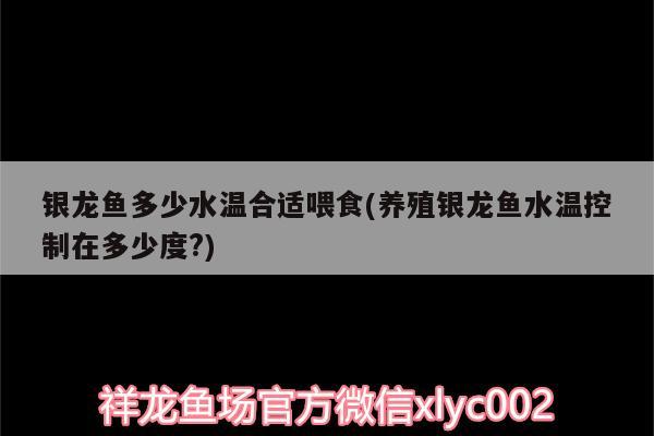 銀龍魚多少水溫合適喂食(養(yǎng)殖銀龍魚水溫控制在多少度?) 銀龍魚 第2張