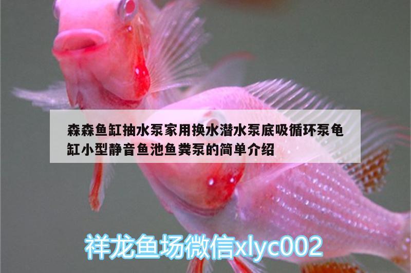 森森魚缸抽水泵家用換水潛水泵底吸循環(huán)泵龜缸小型靜音魚池魚糞泵的簡單介紹