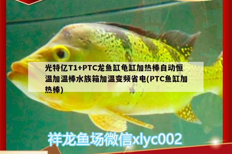 光特億T1+PTC龍魚缸龜缸加熱棒自動(dòng)恒溫加溫棒水族箱加溫變頻省電(PTC魚缸加熱棒)