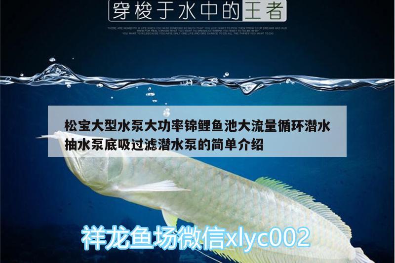 松寶大型水泵大功率錦鯉魚池大流量循環(huán)潛水抽水泵底吸過濾潛水泵的簡單介紹 廣州水族器材濾材批發(fā)市場