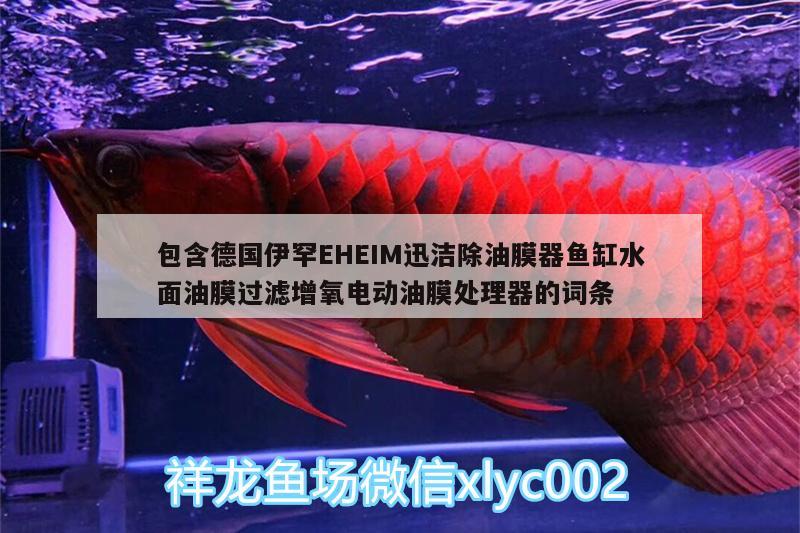 包含德國(guó)伊罕EHEIM迅潔除油膜器魚缸水面油膜過濾增氧電動(dòng)油膜處理器的詞條