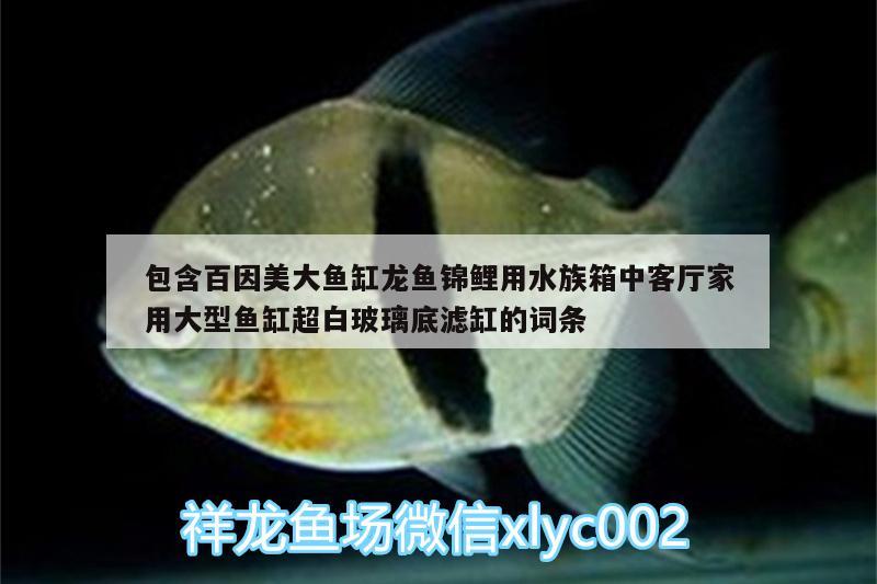 包含百因美大魚缸龍魚錦鯉用水族箱中客廳家用大型魚缸超白玻璃底濾缸的詞條 魚缸/水族箱