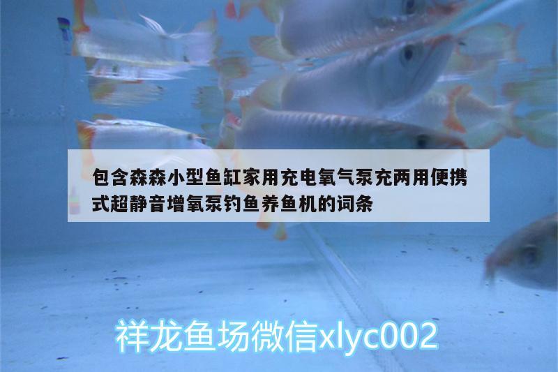 包含森森小型魚缸家用充電氧氣泵充兩用便攜式超靜音增氧泵釣魚養(yǎng)魚機的詞條