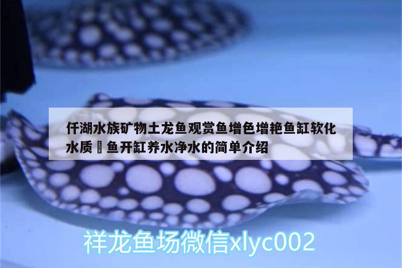 仟湖水族礦物土龍魚觀賞魚增色增艷魚缸軟化水質(zhì)魟魚開缸養(yǎng)水凈水的簡(jiǎn)單介紹 仟湖