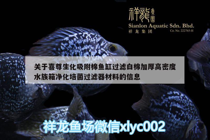 關(guān)于喜尊生化吸附棉魚缸過濾白棉加厚高密度水族箱凈化培菌過濾器材料的信息