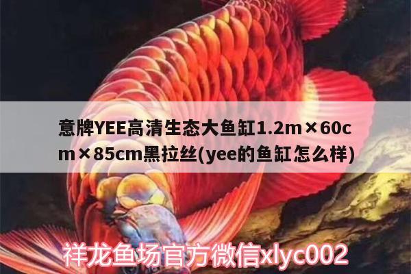 意牌YEE高清生態(tài)大魚(yú)缸1.2m×60cm×85cm黑拉絲(yee的魚(yú)缸怎么樣)