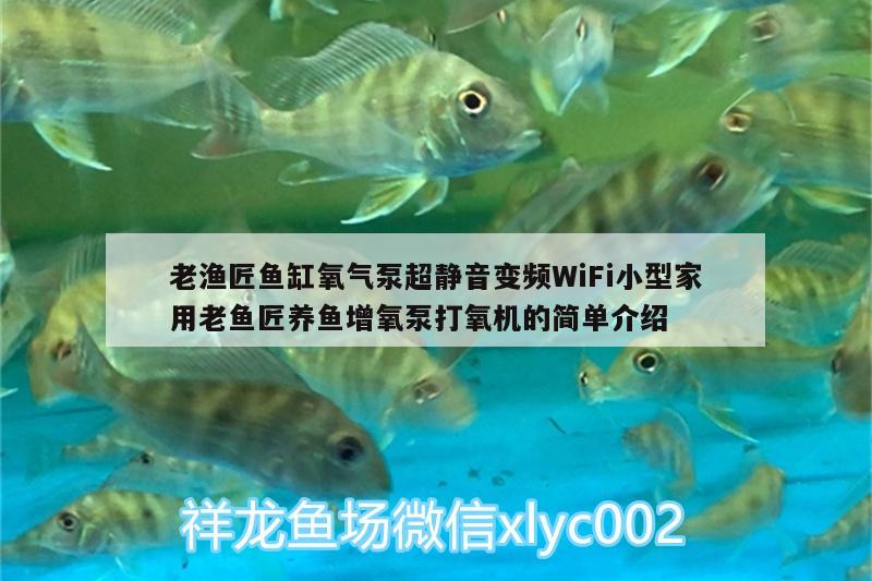 老漁匠魚(yú)缸氧氣泵超靜音變頻WiFi小型家用老魚(yú)匠養(yǎng)魚(yú)增氧泵打氧機(jī)的簡(jiǎn)單介紹 老魚(yú)匠