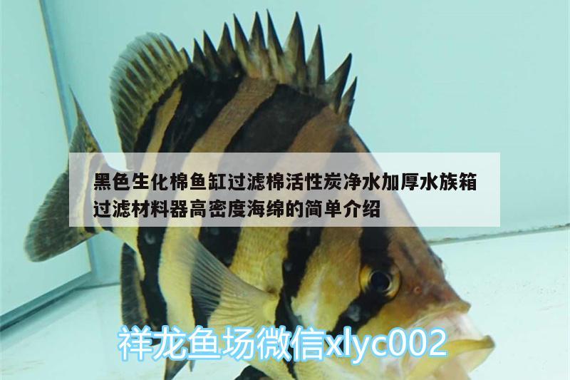 黑色生化棉魚缸過濾棉活性炭凈水加厚水族箱過濾材料器高密度海綿的簡單介紹