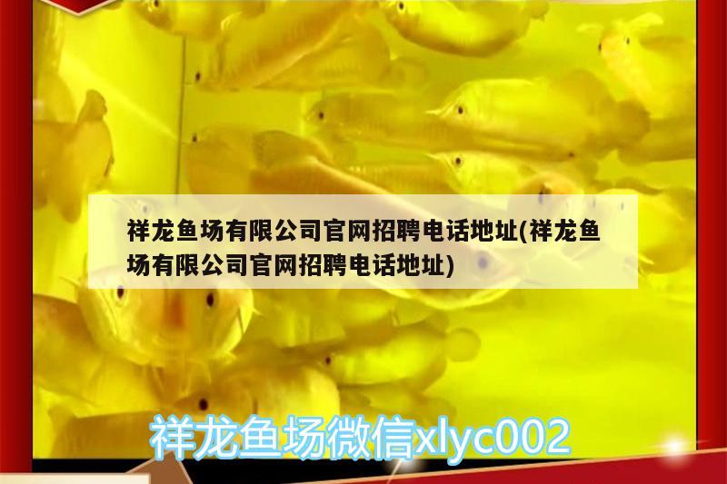 祥龍魚場有限公司官網(wǎng)招聘電話地址(祥龍魚場有限公司官網(wǎng)招聘電話地址) 祥龍魚場