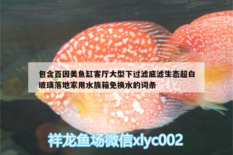 包含百因美魚(yú)缸客廳大型下過(guò)濾底濾生態(tài)超白玻璃落地家用水族箱免換水的詞條