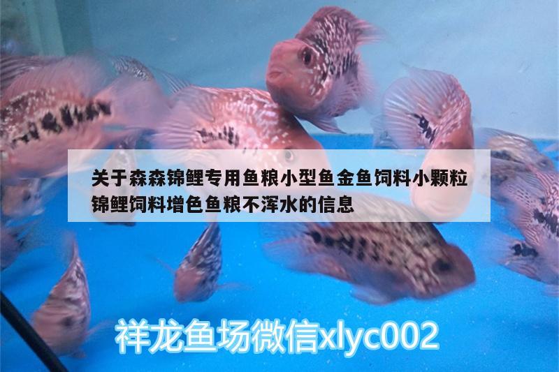 關(guān)于森森錦鯉專用魚糧小型魚金魚飼料小顆粒錦鯉飼料增色魚糧不渾水的信息 廣州水族器材濾材批發(fā)市場