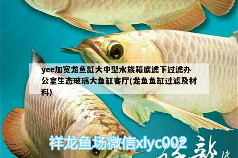 yee加寬龍魚缸大中型水族箱底濾下過濾辦公室生態(tài)玻璃大魚缸客廳(龍魚魚缸過濾及材料)