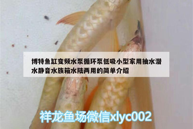 博特魚缸變頻水泵循環(huán)泵低吸小型家用抽水潛水靜音水族箱水陸兩用的簡單介紹