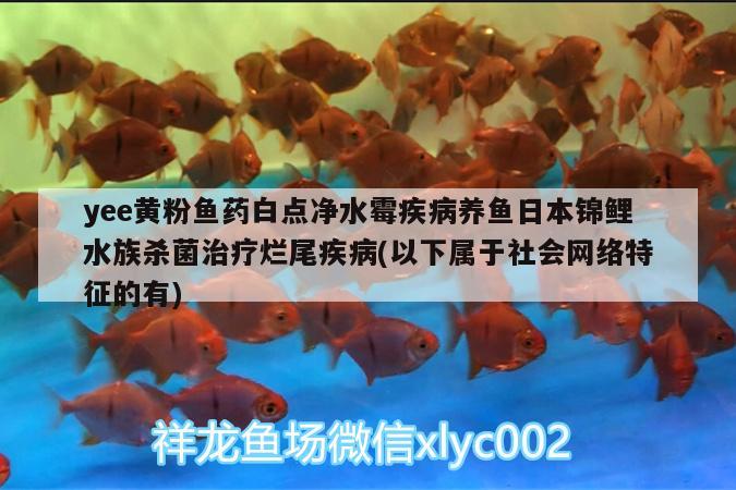 yee黃粉魚藥白點(diǎn)凈水霉疾病養(yǎng)魚日本錦鯉水族殺菌治療爛尾疾病(以下屬于社會(huì)網(wǎng)絡(luò)特征的有)