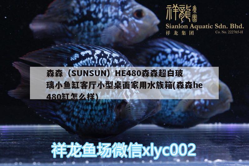 森森（SUNSUN）HE480森森超白玻璃小魚缸客廳小型桌面家用水族箱(森森h(huán)e480缸怎么樣) 魚缸/水族箱