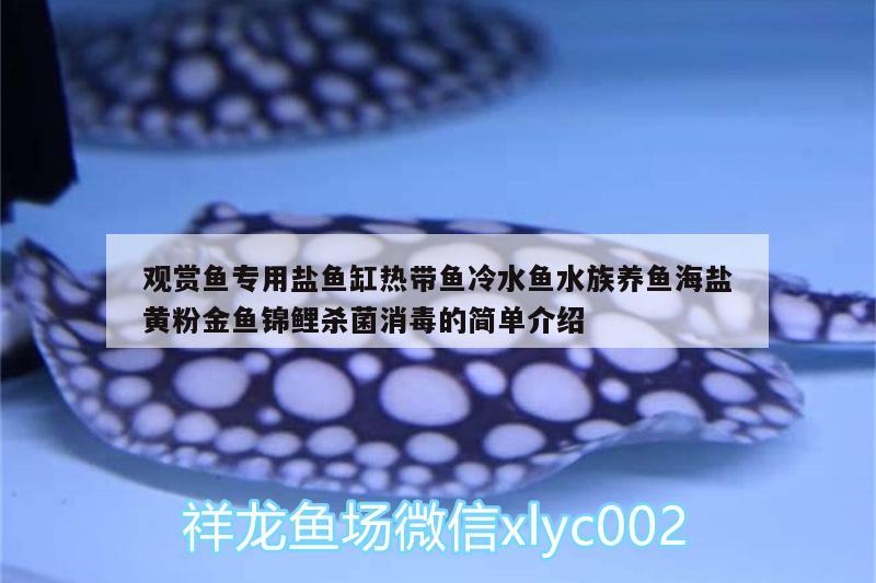 觀賞魚專用鹽魚缸熱帶魚冷水魚水族養(yǎng)魚海鹽黃粉金魚錦鯉殺菌消毒的簡單介紹 廣州水族器材濾材批發(fā)市場