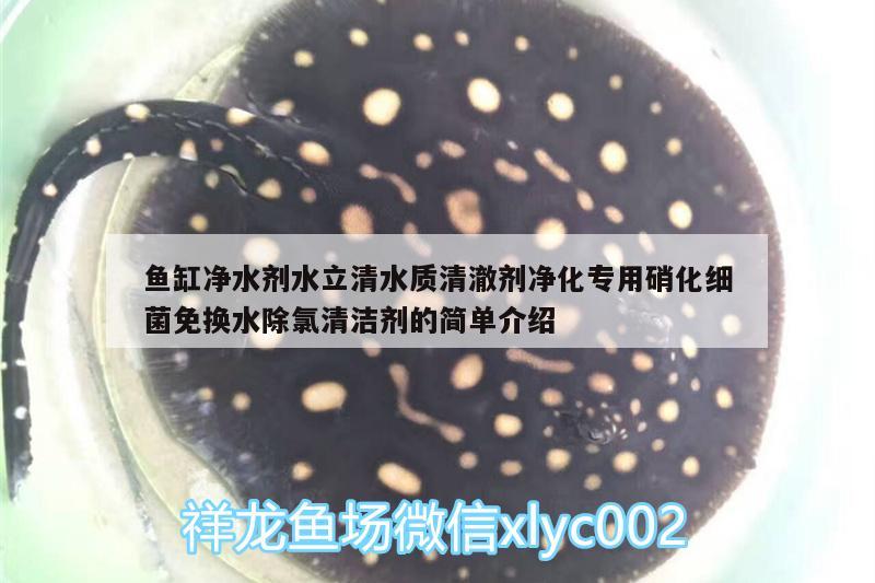 魚缸凈水劑水立清水質清澈劑凈化專用硝化細菌免換水除氯清潔劑的簡單介紹